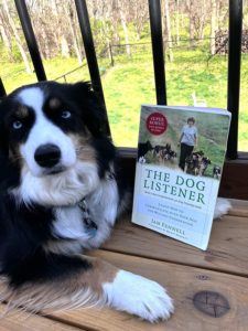 Dog next to book