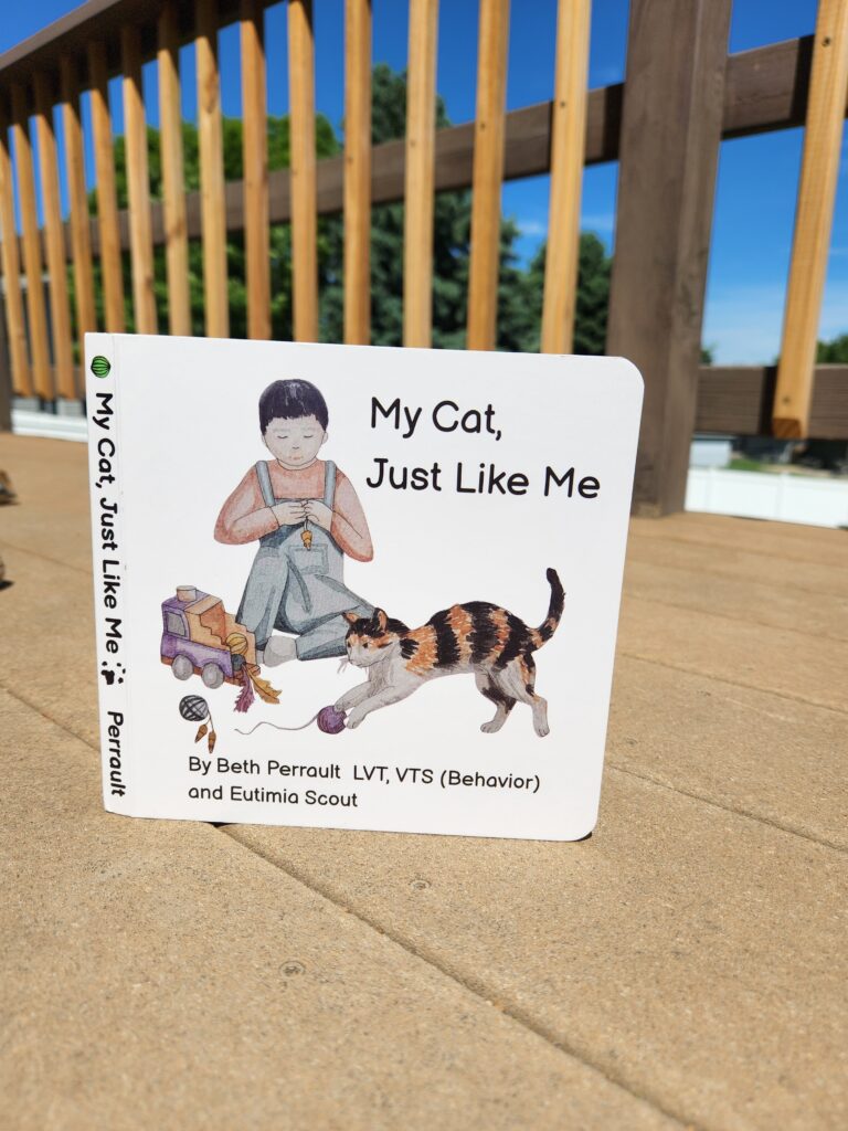 Photo of book cover child playing with toys and cat pouncing